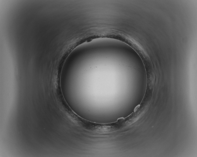 X0000108480497200904031432
