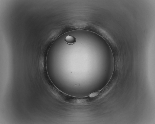 X0000108480501200904031432