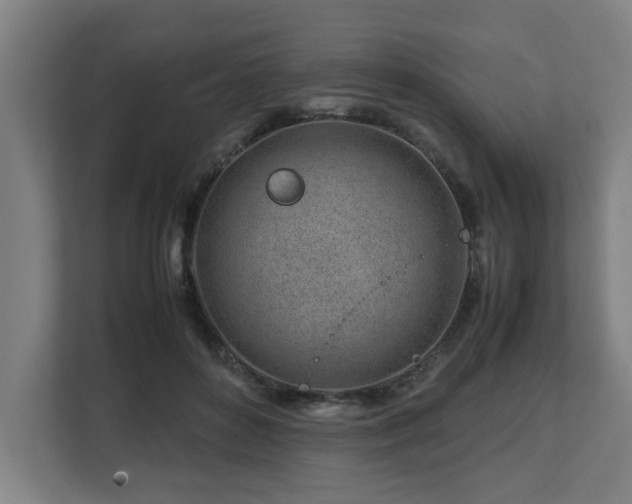 X0000108480504200904031432
