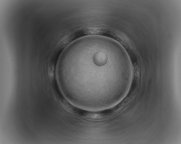 X0000108480507200904031432