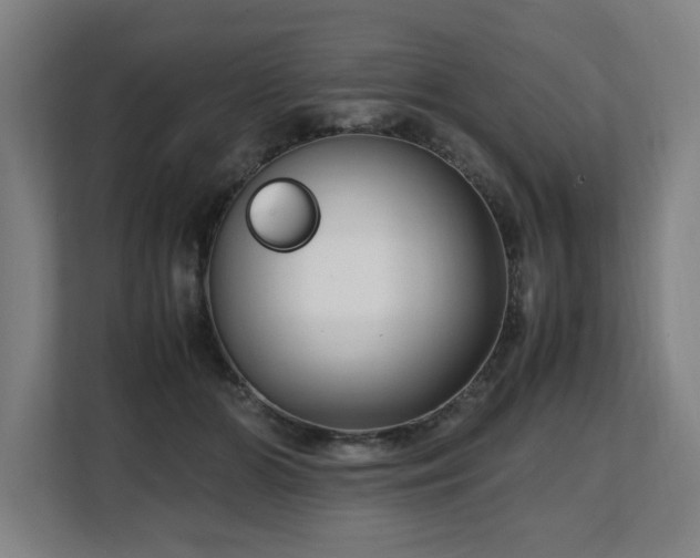 X0000108480510200904031432