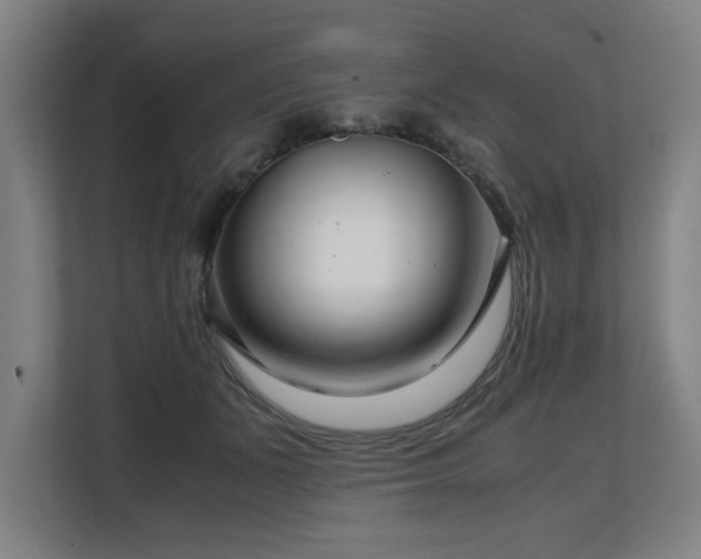 X0000108480511200904031432