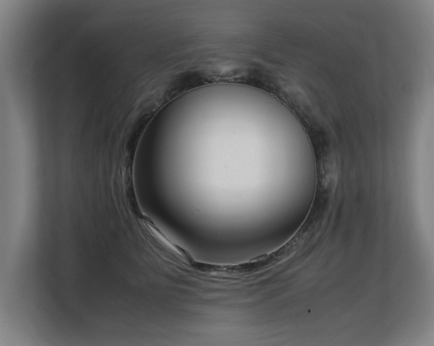 X0000108480515200904031432