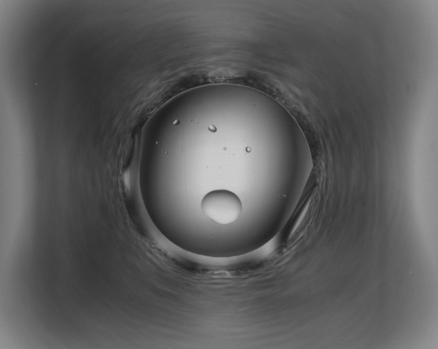 X0000108480519200904031432