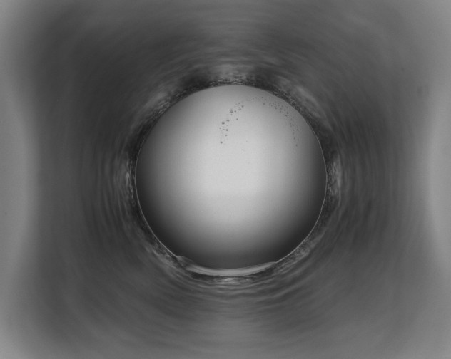 X0000108480522200904031432