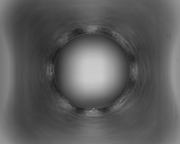 X0000108480525200904031432