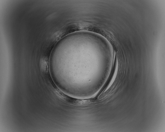 X0000108480527200904031432