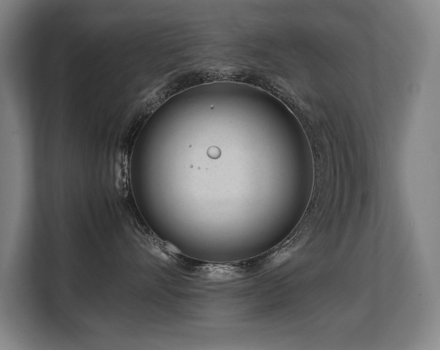 X0000108480528200904031432