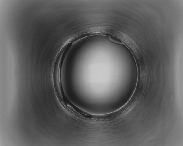 X0000108480530200904031431
