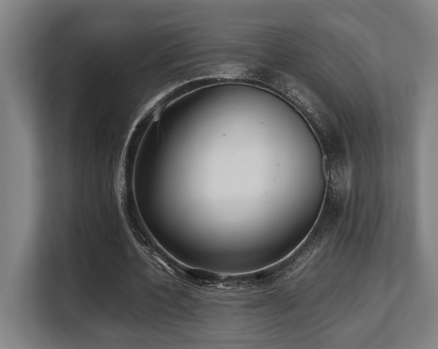 X0000108480532200904031431