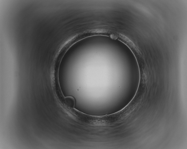 X0000108480535200904031431
