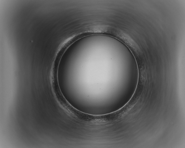 X0000108480536200904031431