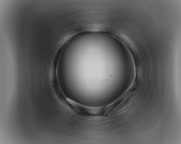 X0000108480540200904031432