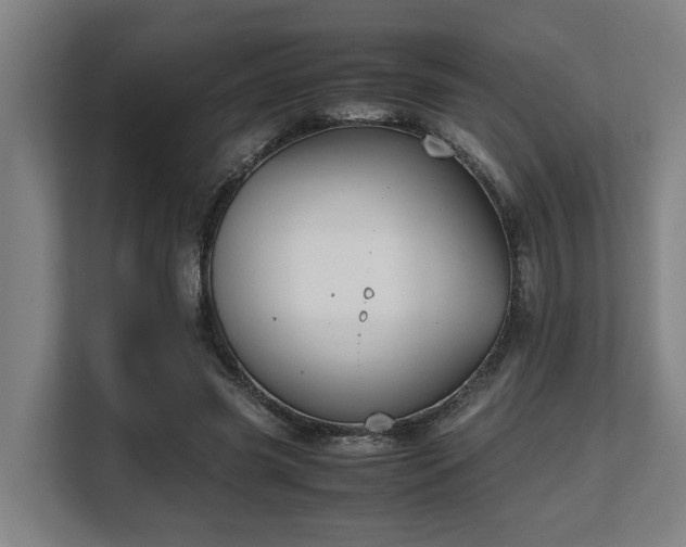 X0000108480541200904031432