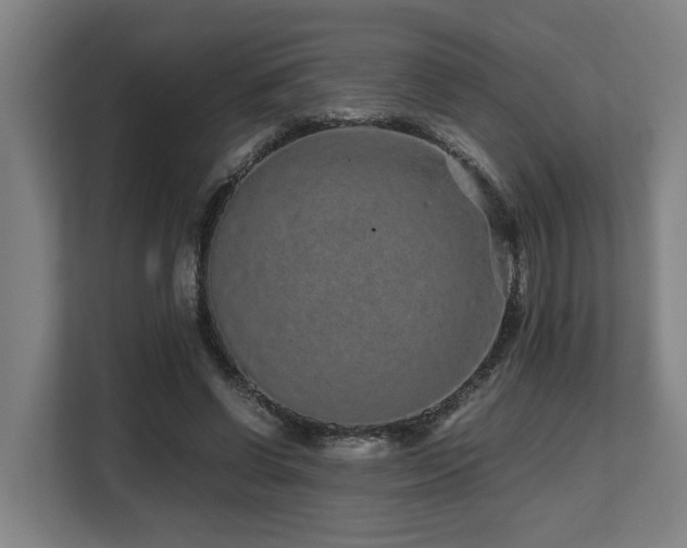 X0000108480542200904031432