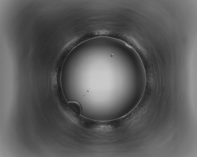 X0000108480543200904031432