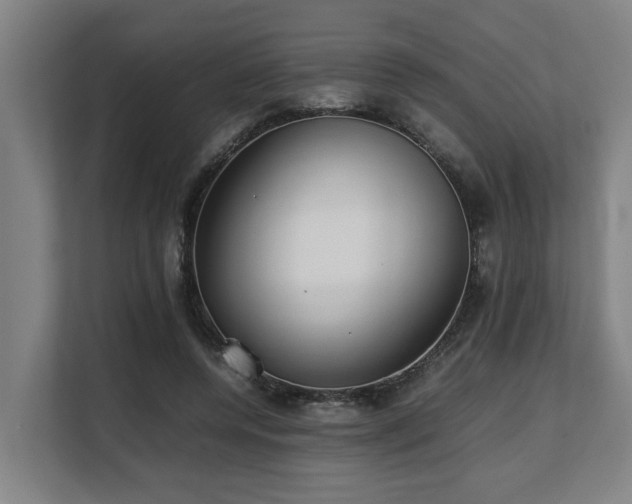 X0000108480544200904031432