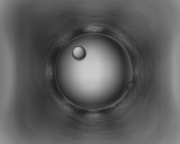 X0000108480551200904031432