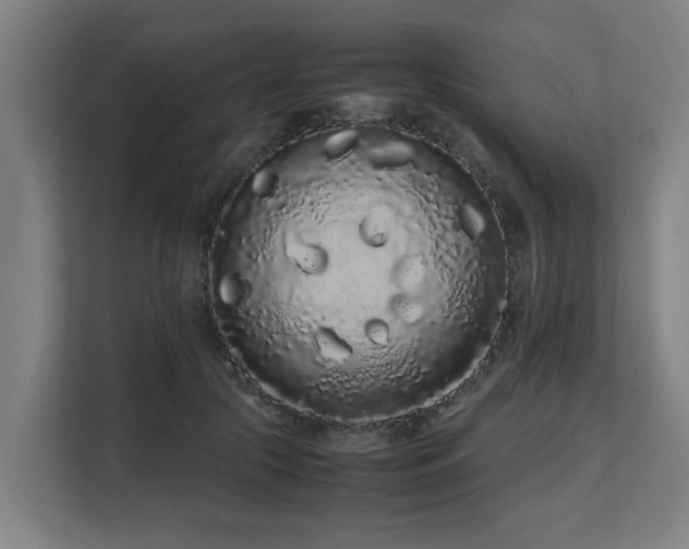 X0000108480553200904031432