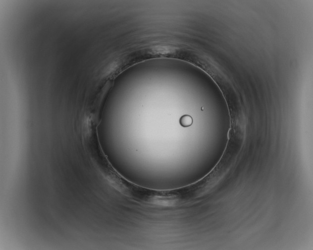 X0000108480556200904031432