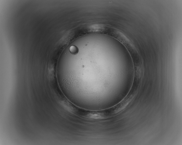 X0000108480557200904031432