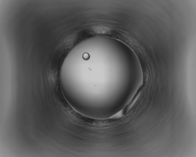 X0000108480559200904031432