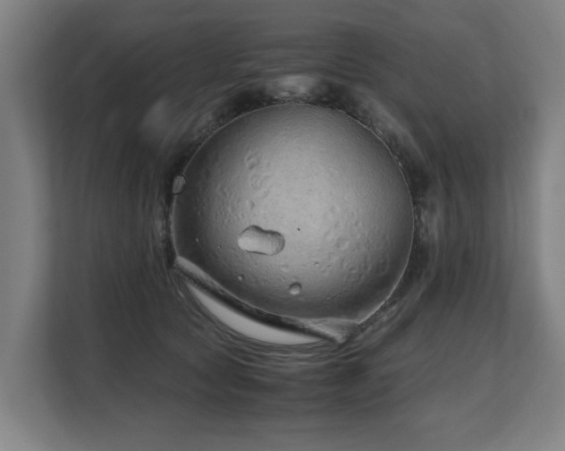 X0000108480561200904031432