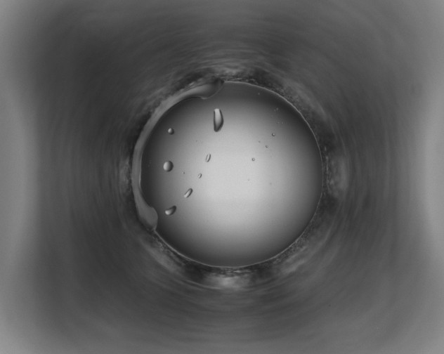 X0000108480563200904031432