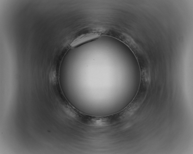 X0000108480564200904031432