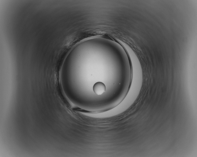 X0000108480568200904031432