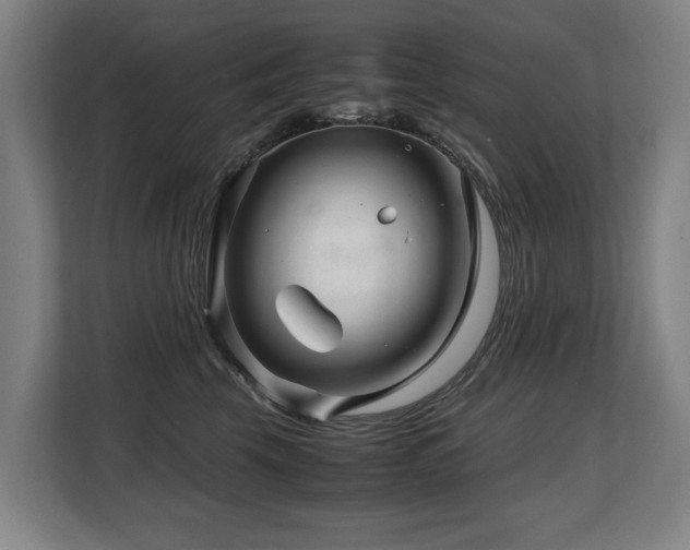 X0000108480569200904031432