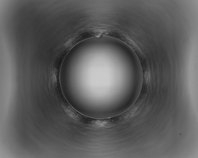 X0000108480570200904031432