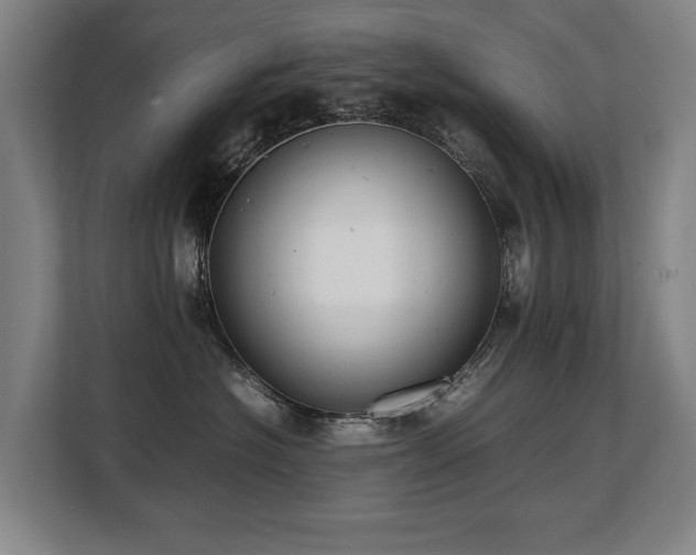 X0000108480574200904031432