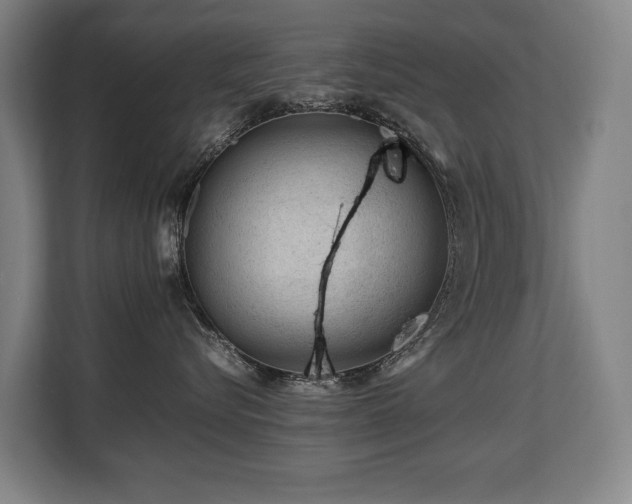 X0000108480576200904031432