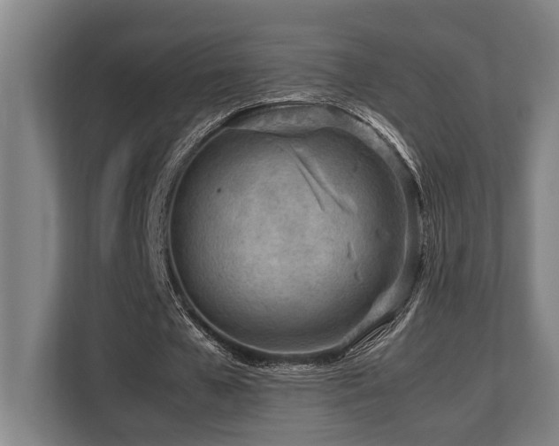 X0000108480577200904031431