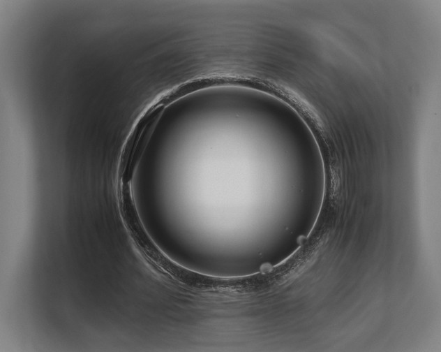 X0000108480580200904031431