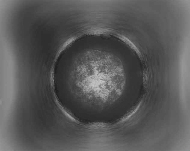 X0000108480581200904031431