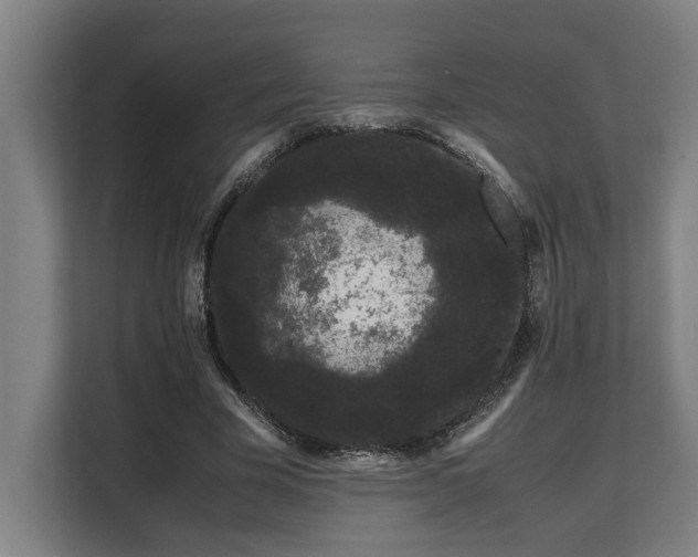 X0000108480585200904031431