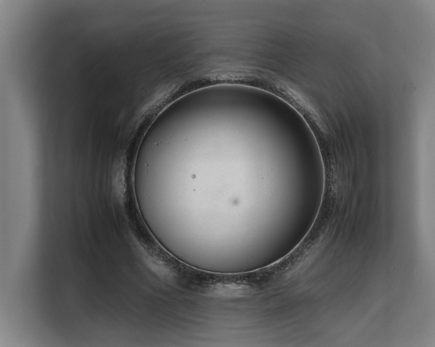 X0000108480586200904031431