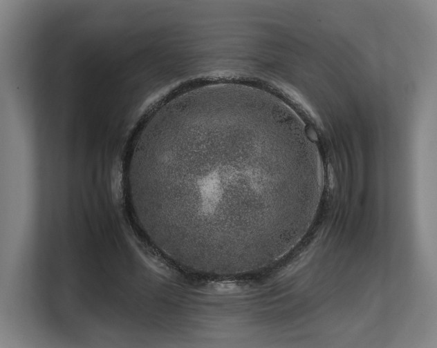 X0000108480588200904031431
