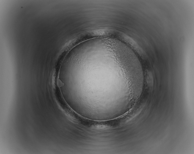 X0000108480590200904031431