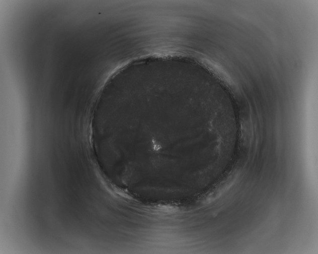 X0000108480592200904031431