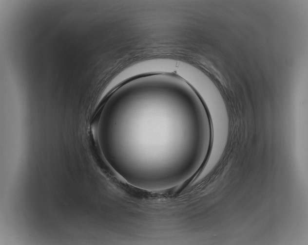 X0000108480593200904031431