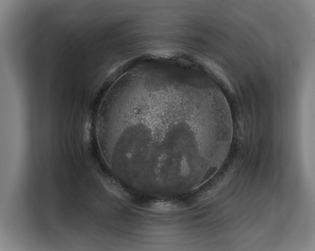 X0000108480596200904031431