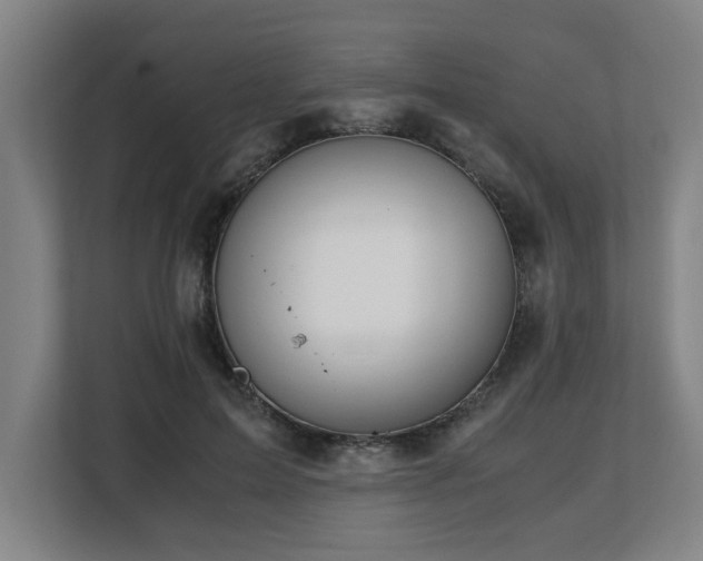 X0000108480599200904031431