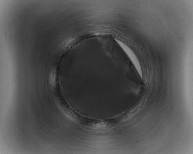 X0000108480600200904031431