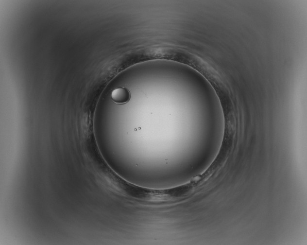 X0000108480605200904031431