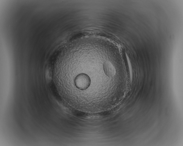 X0000108480606200904031431