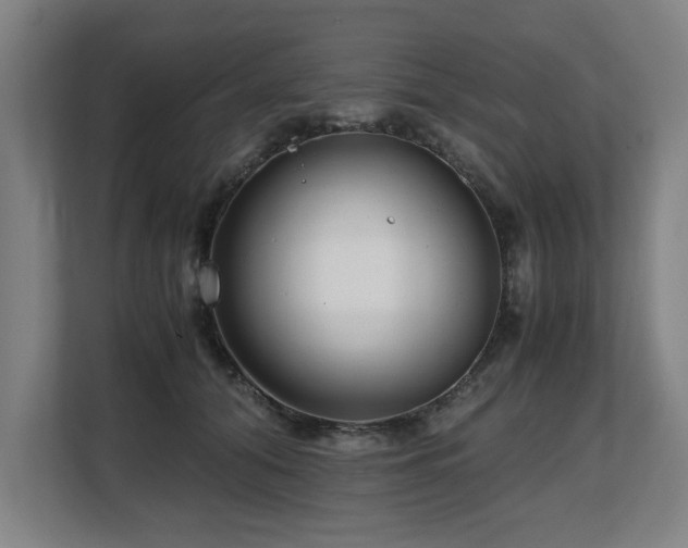 X0000108480608200904031431