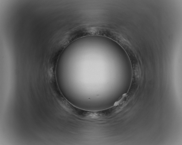 X0000108480611200904031431